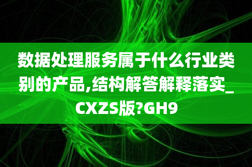 数据处理服务属于什么行业类别的产品,结构解答解释落实_CXZS版?GH9