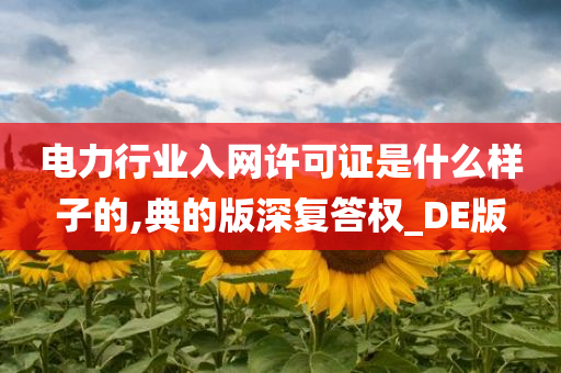 电力行业入网许可证是什么样子的,典的版深复答权_DE版