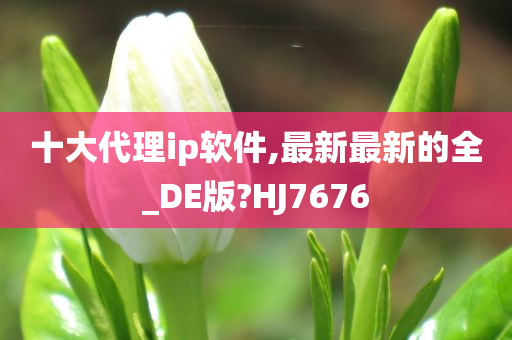 十大代理ip软件,最新最新的全_DE版?HJ7676