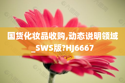 国货化妆品收购,动态说明领域_SWS版?HJ6667