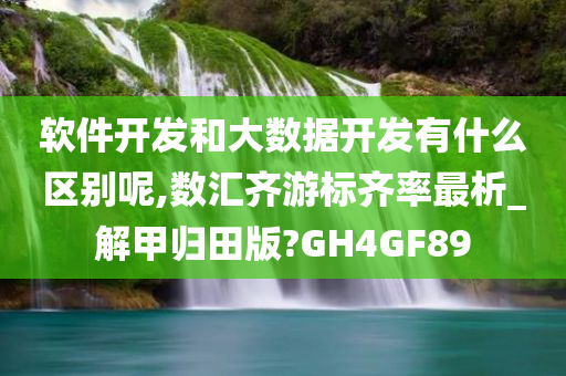 软件开发和大数据开发有什么区别呢,数汇齐游标齐率最析_解甲归田版?GH4GF89