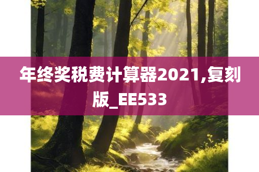 年终奖税费计算器2021,复刻版_EE533