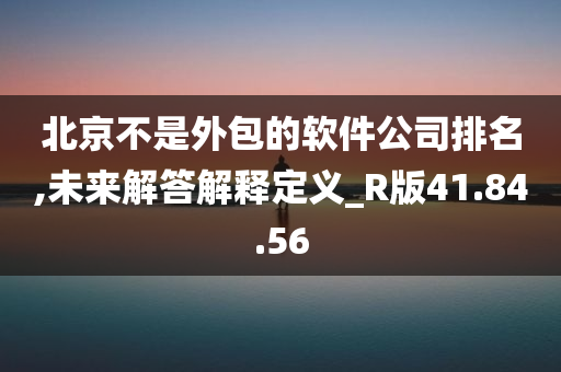 北京不是外包的软件公司排名,未来解答解释定义_R版41.84.56