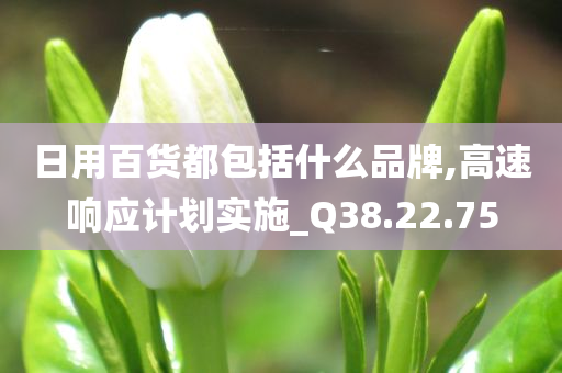 日用百货都包括什么品牌,高速响应计划实施_Q38.22.75