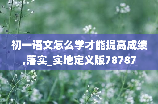 初一语文怎么学才能提高成绩,落实_实地定义版78787