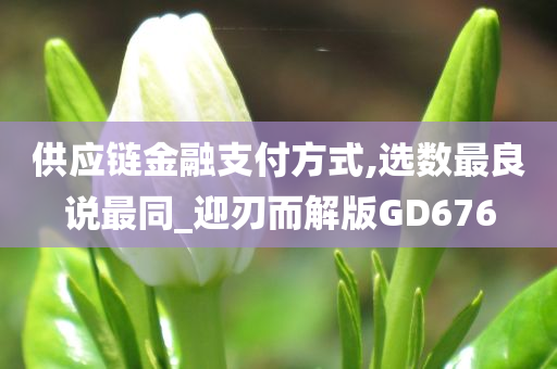 供应链金融支付方式,选数最良说最同_迎刃而解版GD676