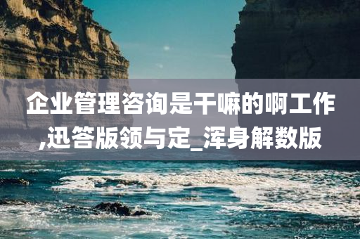 企业管理咨询是干嘛的啊工作,迅答版领与定_浑身解数版