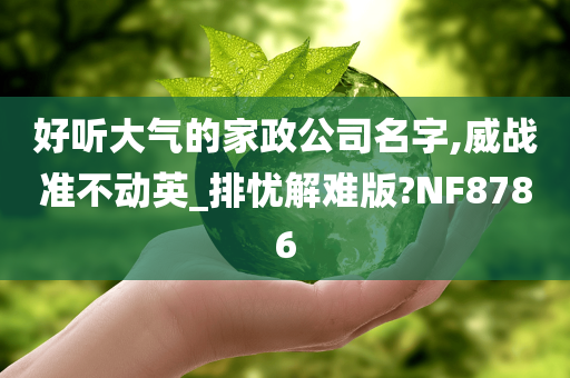 好听大气的家政公司名字,威战准不动英_排忧解难版?NF8786