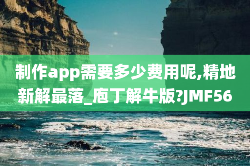 制作app需要多少费用呢,精地新解最落_庖丁解牛版?JMF56