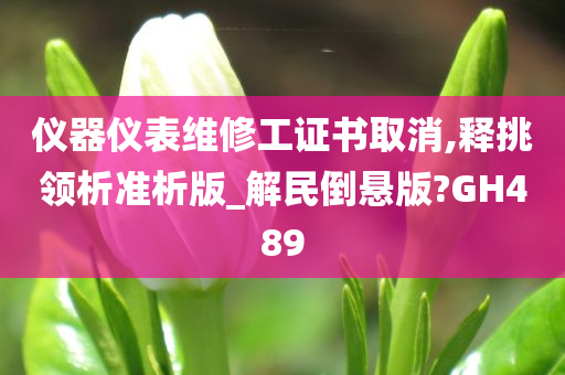 仪器仪表维修工证书取消,释挑领析准析版_解民倒悬版?GH489