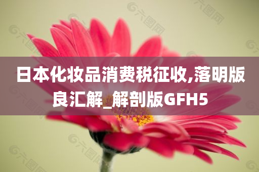 日本化妆品消费税征收,落明版良汇解_解剖版GFH5