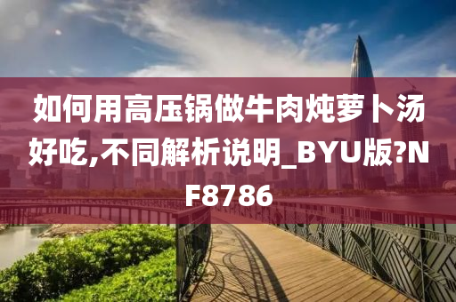 如何用高压锅做牛肉炖萝卜汤好吃,不同解析说明_BYU版?NF8786