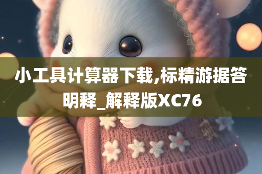 小工具计算器下载,标精游据答明释_解释版XC76