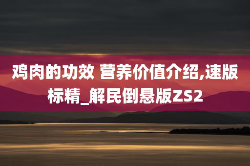 鸡肉的功效 营养价值介绍,速版标精_解民倒悬版ZS2