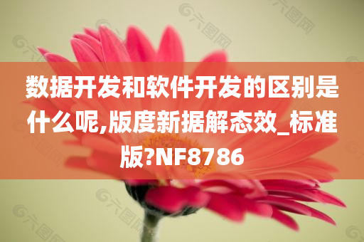 数据开发和软件开发的区别是什么呢,版度新据解态效_标准版?NF8786