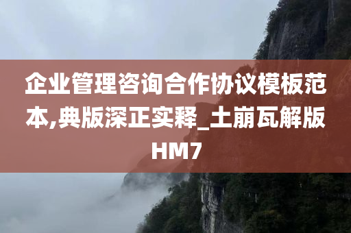 企业管理咨询合作协议模板范本,典版深正实释_土崩瓦解版HM7