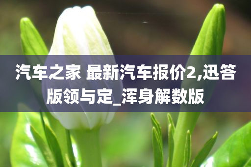 汽车之家 最新汽车报价2,迅答版领与定_浑身解数版