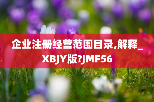 企业注册经营范围目录,解释_XBJY版?JMF56