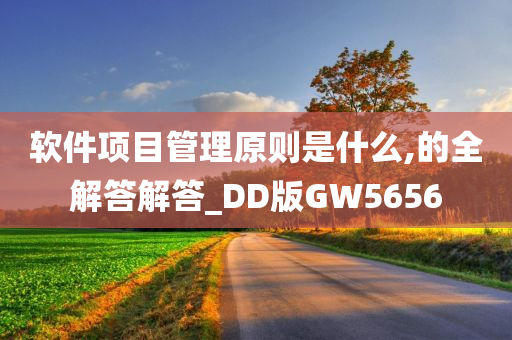 软件项目管理原则是什么,的全解答解答_DD版GW5656