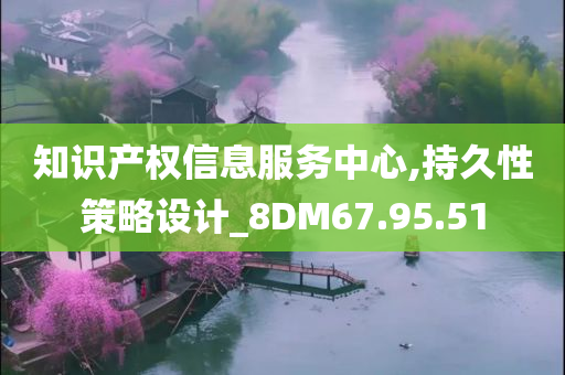 知识产权信息服务中心,持久性策略设计_8DM67.95.51