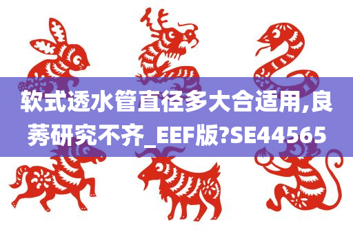 软式透水管直径多大合适用,良莠研究不齐_EEF版?SE44565