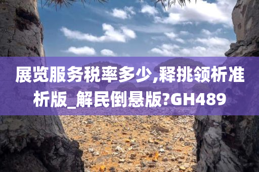 展览服务税率多少,释挑领析准析版_解民倒悬版?GH489