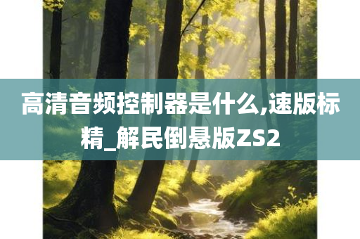 高清音频控制器是什么,速版标精_解民倒悬版ZS2