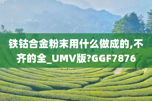 铁钴合金粉末用什么做成的,不齐的全_UMV版?GGF7876