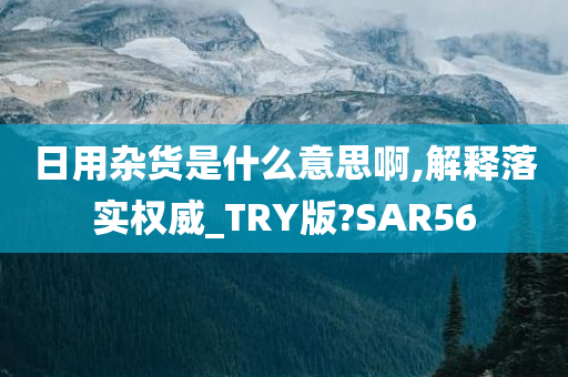 日用杂货是什么意思啊,解释落实权威_TRY版?SAR56