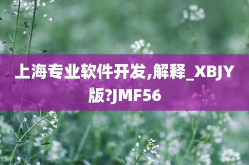 上海专业软件开发,解释_XBJY版?JMF56