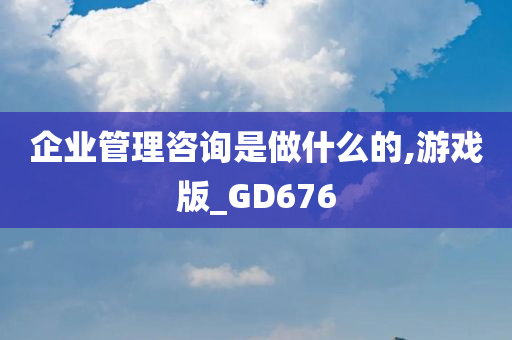 企业管理咨询是做什么的,游戏版_GD676