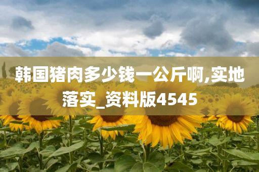 韩国猪肉多少钱一公斤啊,实地落实_资料版4545