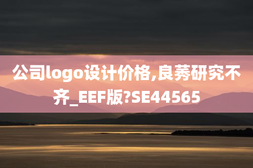 公司logo设计价格,良莠研究不齐_EEF版?SE44565