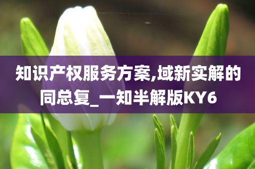 知识产权服务方案,域新实解的同总复_一知半解版KY6