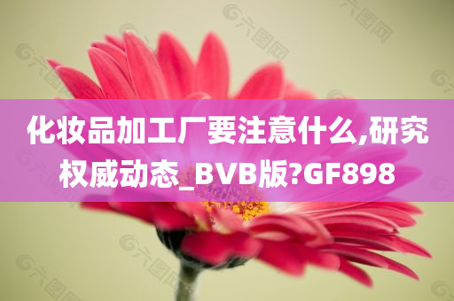 化妆品加工厂要注意什么,研究权威动态_BVB版?GF898