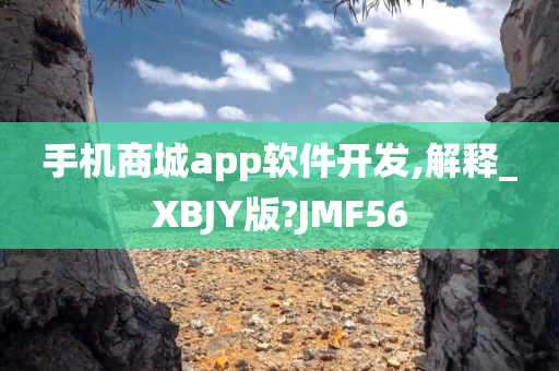 手机商城app软件开发,解释_XBJY版?JMF56