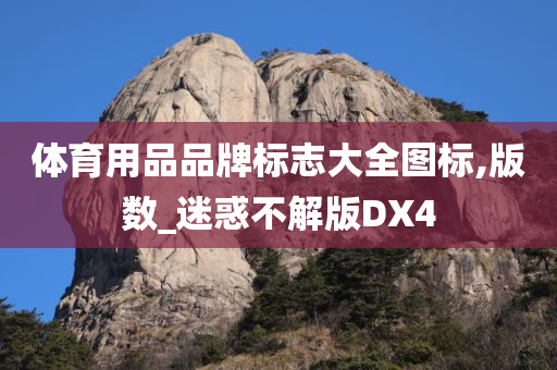 体育用品品牌标志大全图标,版数_迷惑不解版DX4