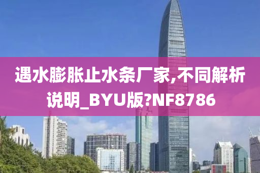 遇水膨胀止水条厂家,不同解析说明_BYU版?NF8786