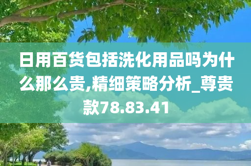 日用百货包括洗化用品吗为什么那么贵,精细策略分析_尊贵款78.83.41