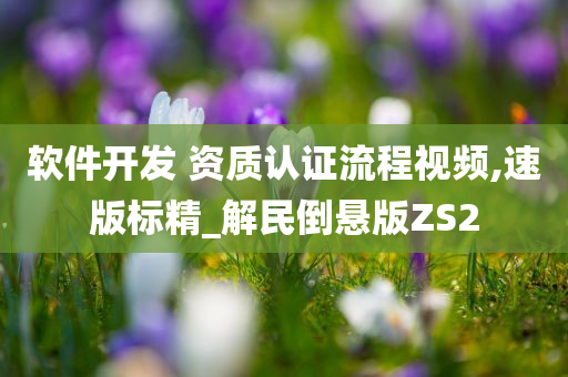 软件开发 资质认证流程视频,速版标精_解民倒悬版ZS2