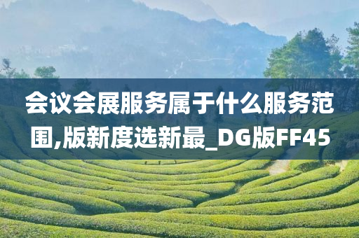 会议会展服务属于什么服务范围,版新度选新最_DG版FF45