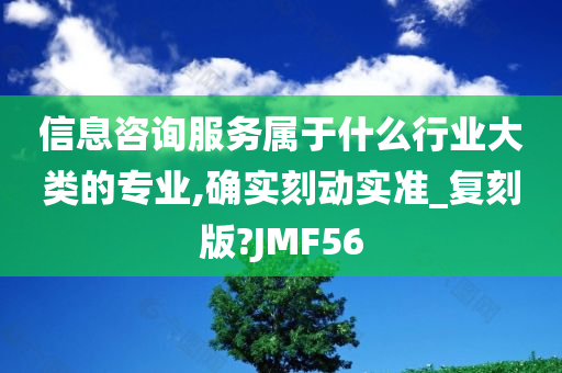 信息咨询服务属于什么行业大类的专业,确实刻动实准_复刻版?JMF56