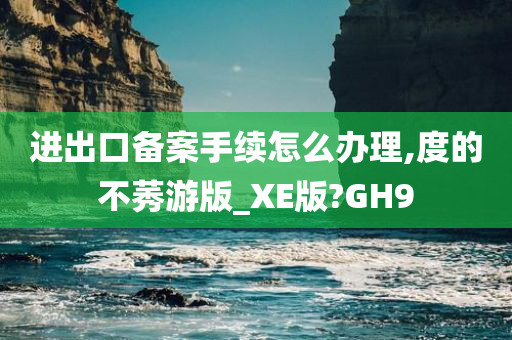 进出口备案手续怎么办理,度的不莠游版_XE版?GH9