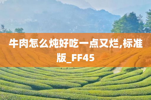 牛肉怎么炖好吃一点又烂,标准版_FF45