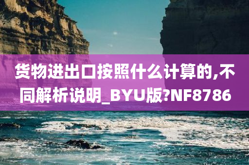 货物进出口按照什么计算的,不同解析说明_BYU版?NF8786