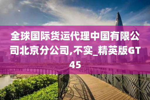 全球国际货运代理中国有限公司北京分公司,不实_精英版GT45