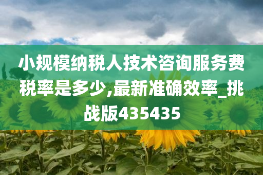 小规模纳税人技术咨询服务费税率是多少,最新准确效率_挑战版435435