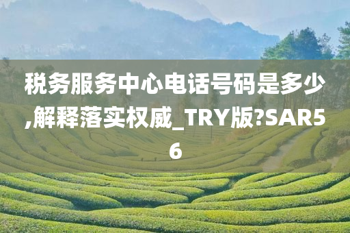 税务服务中心电话号码是多少,解释落实权威_TRY版?SAR56