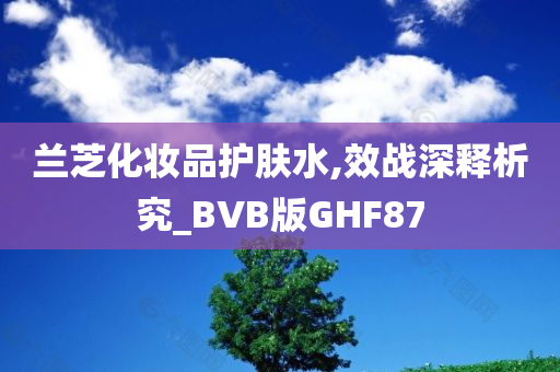 兰芝化妆品护肤水,效战深释析究_BVB版GHF87