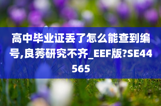 高中毕业证丢了怎么能查到编号,良莠研究不齐_EEF版?SE44565